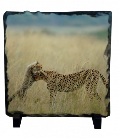 หินพิมพ์สกรีน Tender moment Rock